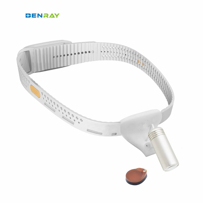 ENT Dental GNY Veterinary Surgery Portable Headlight
